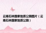 云南石林国家地质公园图片（云南石林国家地质公园）