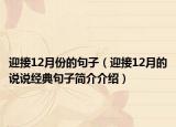 迎接12月份的句子（迎接12月的说说经典句子简介介绍）