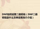 DNF如何设置二级密码（DNF二级密码是什么怎样设置简介介绍）