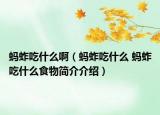 蚂蚱吃什么啊（蚂蚱吃什么 蚂蚱吃什么食物简介介绍）