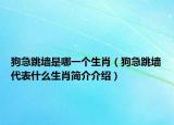 狗急跳墙是哪一个生肖（狗急跳墙代表什么生肖简介介绍）