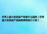 世界上最大的亚麻产地是什么国家（世界最大的亚麻产地国是哪里简介介绍）
