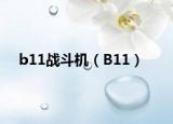 b11战斗机（B11）