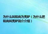 为什么叫和尚为秃驴（为什么把和尚叫秃驴简介介绍）