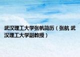 武汉理工大学张帆简历（张航 武汉理工大学副教授）