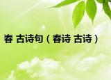 春 古诗句（春诗 古诗）