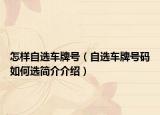 怎样自选车牌号（自选车牌号码如何选简介介绍）