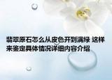 翡翠原石怎么从皮色开到满绿 这样来鉴定具体情况详细内容介绍