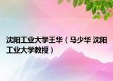 沈阳工业大学王华（马少华 沈阳工业大学教授）