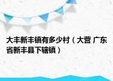 大丰新丰镇有多少村（大营 广东省新丰县下辖镇）