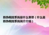 防伪税控系统是什么意思（什么是防伪税控系统简介介绍）