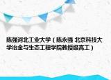 陈强河北工业大学（陈永强 北京科技大学冶金与生态工程学院教授级高工）
