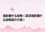 泡影是什么动物（沤浮泡影指什么动物简介介绍）
