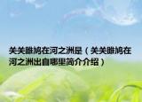 关关雎鸠在河之洲是（关关雎鸠在河之洲出自哪里简介介绍）
