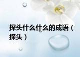 探头什么什么的成语（探头）