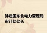 孙建国东北电力管理局审计处处长
