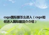 csgo国际服怎么进入（csgo如何进入国际服简介介绍）