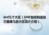 dnf几个大区（DNF如何知道自己是跨几的大区简介介绍）