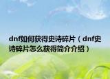 dnf如何获得史诗碎片（dnf史诗碎片怎么获得简介介绍）
