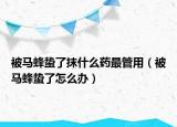 被马蜂蛰了抹什么药最管用（被马蜂蛰了怎么办）