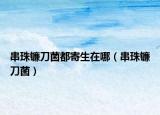 串珠镰刀菌都寄生在哪（串珠镰刀菌）