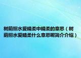 树荫照水爱晴柔中晴柔的意思（树荫照水爱晴柔什么意思呢简介介绍）