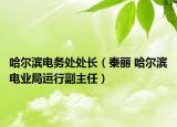 哈尔滨电务处处长（秦丽 哈尔滨电业局运行副主任）