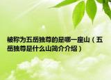 被称为五岳独尊的是哪一座山（五岳独尊是什么山简介介绍）