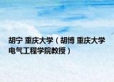 胡宁 重庆大学（胡博 重庆大学电气工程学院教授）