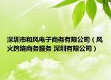 深圳市和风电子商务有限公司（风火跨境商务服务 深圳有限公司）