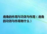 鹿角的作用与功效与作用（鹿角的功效与作用有什么）