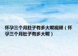 怀孕三个月肚子有多大呢视频（怀孕三个月肚子有多大呢）