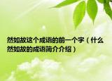 然如故这个成语的前一个字（什么然如故的成语简介介绍）