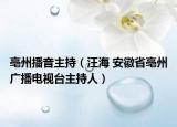 亳州播音主持（汪海 安徽省亳州广播电视台主持人）