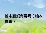 榆木蠹蛾有毒吗（榆木蠹蛾）