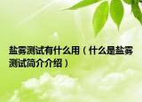 盐雾测试有什么用（什么是盐雾测试简介介绍）
