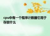 cpu中有一个程序计数器它用于存放什么
