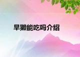 旱獭能吃吗介绍