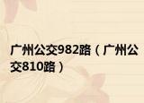 广州公交982路（广州公交810路）
