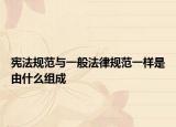 宪法规范与一般法律规范一样是由什么组成