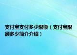 支付宝支付多少限额（支付宝限额多少简介介绍）