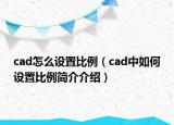 cad怎么设置比例（cad中如何设置比例简介介绍）