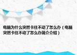 电脑为什么突然卡住不动了怎么办（电脑突然卡住不动了怎么办简介介绍）