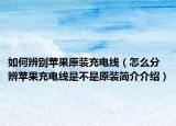如何辨别苹果原装充电线（怎么分辨苹果充电线是不是原装简介介绍）