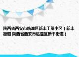 陕西省西安市临潼区新丰工贸小区（新丰街道 陕西省西安市临潼区新丰街道）