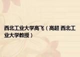 西北工业大学高飞（高超 西北工业大学教授）