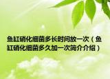鱼缸硝化细菌多长时间放一次（鱼缸硝化细菌多久加一次简介介绍）
