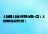 太阳雨太阳能集团有限公司（太阳雨新能源集团）