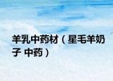羊乳中药材（星毛羊奶子 中药）