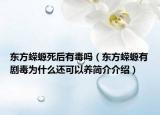 东方蝾螈死后有毒吗（东方蝾螈有剧毒为什么还可以养简介介绍）